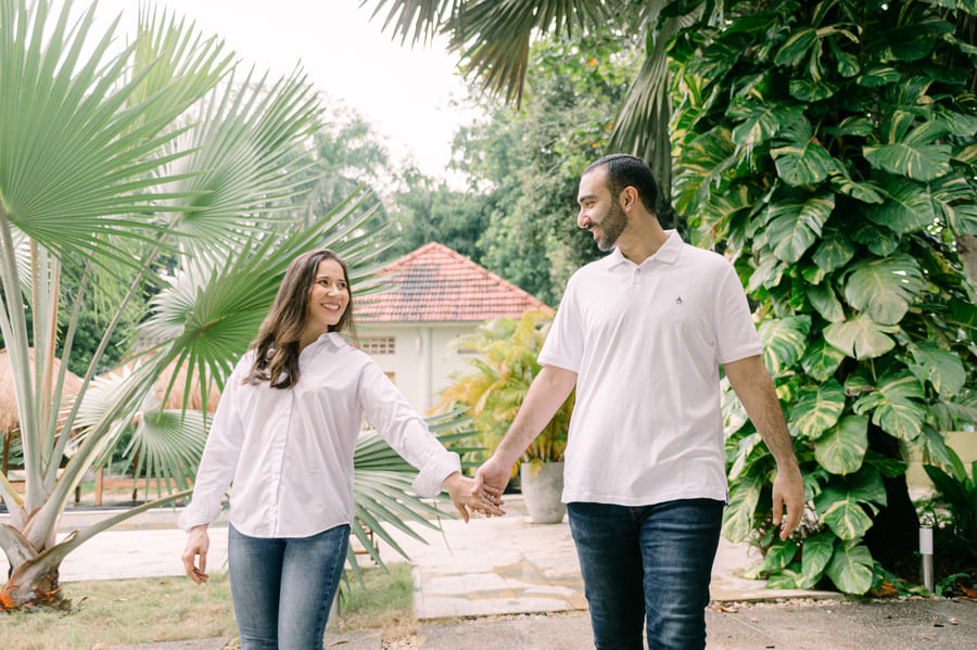 Descripción de la imagen 4